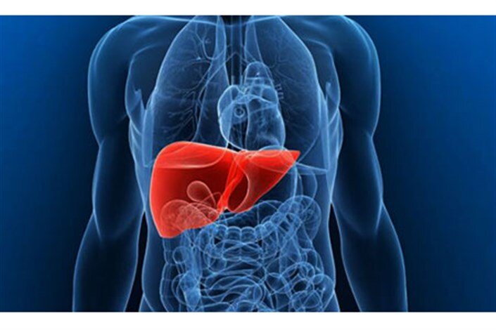 مصرف الکل بیماریهای کبدی را افزایش داده است مصرف الکل بیماریهای کبدی را افزایش داده است