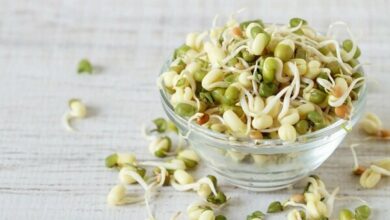 جوانه ماش؛ بمب ویتامین و پروتئین