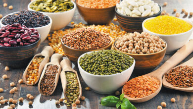 آیا محدود کردن غذا یا حذف گوشت، تخم‌مرغ و حبوبات پس از زایمان برای سلامتی مادر و نوزاد مفید است؟