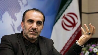 پزشکان ایرانی دارای توانمندی حرفه ای برای توسعه گردشگری سلامت دارند پزشکان ایرانی دارای توانمندی حرفه ای برای توسعه گردشگری سلامت دارند