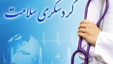 اعمال زیبایی عامل اصلی مراجعه بیماران خارجی به کشور / اعتبار ۶ میلیارد یورویی در حوزه گردشگری سلامت
