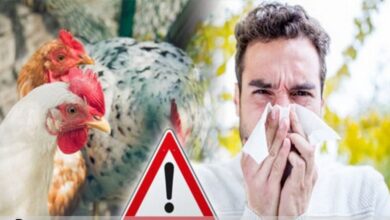 ابتلای به  انسانی می‌تواند ۵۰ درصد مرگ و میر داشته باشد