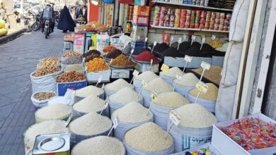 توافق ایران و تایلند درباره ارتباط‌های نظارتی در حوزه غذا / بررسی استاندارد برنج وارداتی