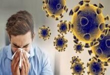 عبور آنفلوانزا در برخی استان ها از مرز هشدار