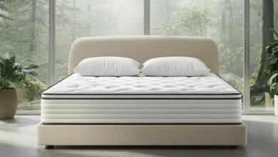 تشک استاندارد در سلامت خواب