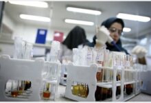 دانشگاه علوم پزشکی تهران؛ رتبه نخست دانشگاه‌های علوم پزشکی کشور