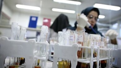 دانشگاه علوم پزشکی تهران؛ رتبه نخست دانشگاه‌های علوم پزشکی کشور