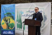 کاشت ۲۷۸۲ اصله نهال به یاد درگذشتگان جامعه پزشکی توسط سازمان نظام پزشکی