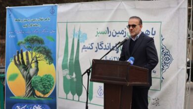 کاشت ۲۷۸۲ اصله نهال به یاد درگذشتگان جامعه پزشکی توسط سازمان نظام پزشکی