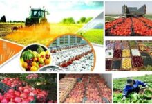 بودجه ۸ همتی برای امنیت غذایی کودکان / پایش ملی تغذیه و امنیت غذایی؛ امسال