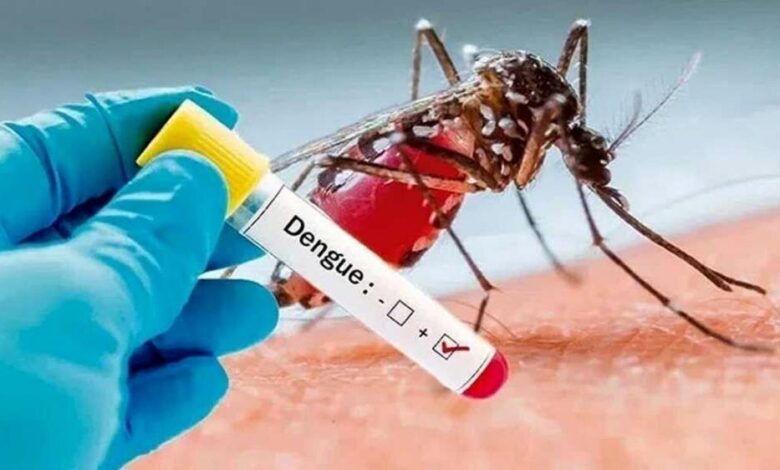 آژیر قرمز تب دنگی؛ چابهار در قرق پشههای آلوده آژیر قرمز تب دنگی؛ چابهار در قرق پشههای آلوده