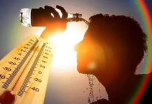 چرا گرمای تابستان برای کلیه‌ها خطرناک است؟