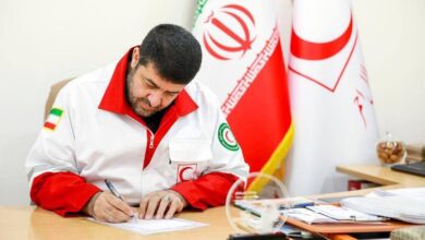 پیگیری سرنوشت ۳ خلبان ایرانی از مسیر دوحه/ قطر قول مساعدت داد