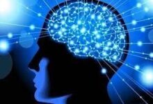 وارد یک جنگ علمی شده‌ایم/ضرورت ایجاد مسیرهای مقابله با تحریم علمی
